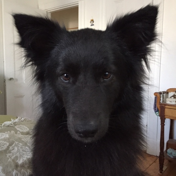 Meet your Posher, Donna - Picture 3 of 5